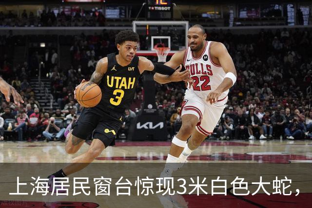 上海居民窗台惊现3米白色大蛇，消防员迅速处理